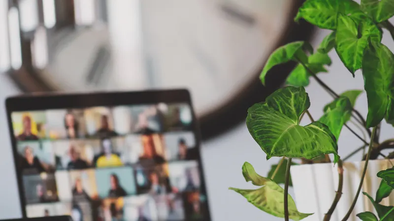 Laptop on a video call beside a houseplant — working with a remote web designer