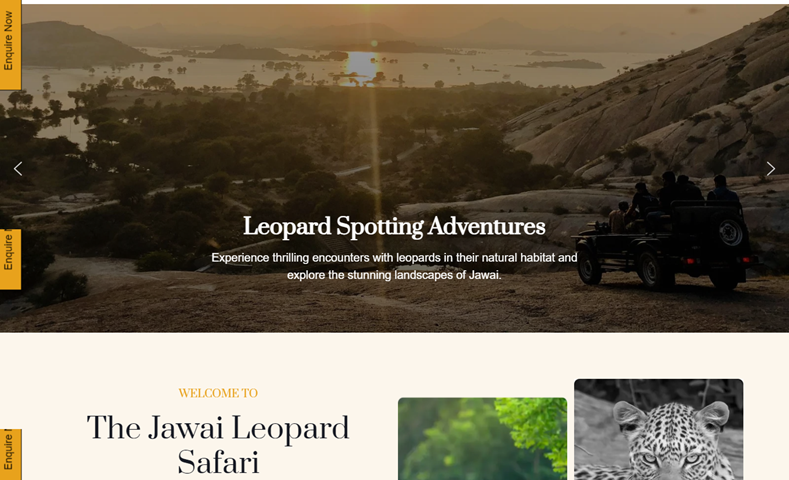 Jawai Leopard Safari