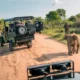 Ranthambore Sightseeing Tour